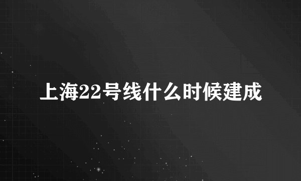 上海22号线什么时候建成