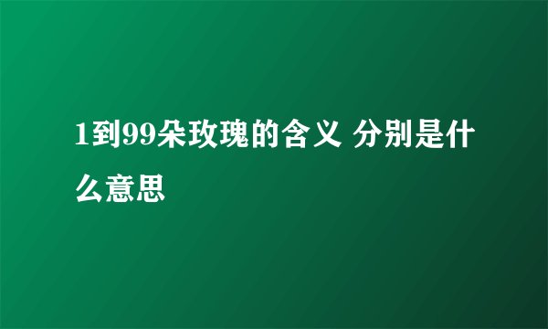 1到99朵玫瑰的含义 分别是什么意思