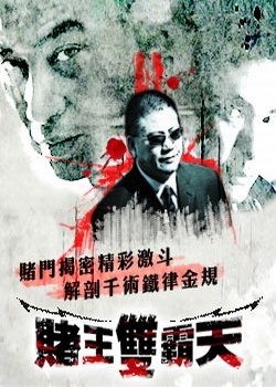 赌王双霸天的基本信息