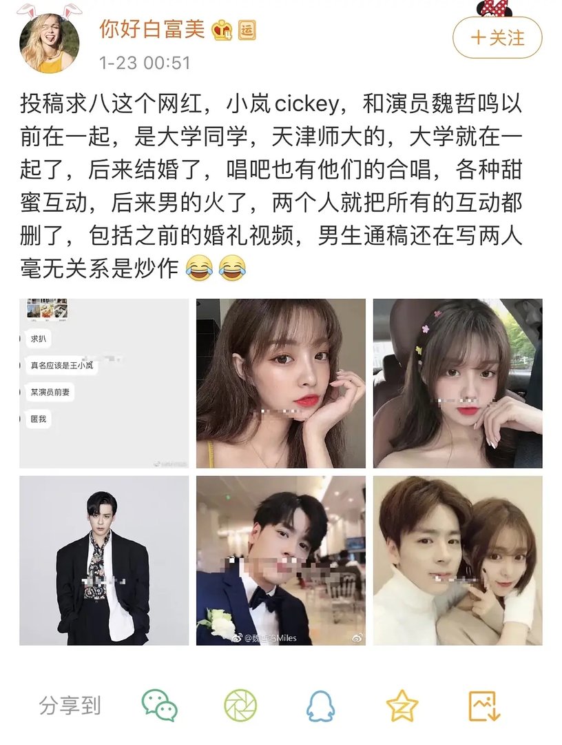 魏哲鸣和前妻王小岚为什么离婚？两个人怎么认识的