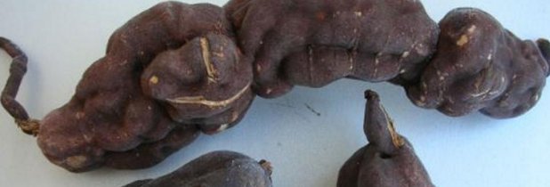 怎样自制染发剂?黑色的,对人体无害的