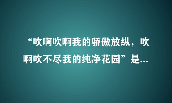 “吹啊吹啊我的骄傲放纵，吹啊吹不尽我的纯净花园”是什么歌？