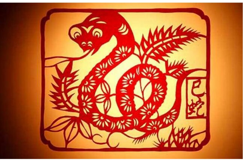 随波逐流打一个生肖