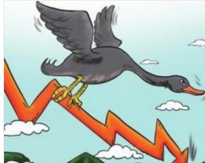 “灰犀牛”和“黑天鹅”分别是什么意思?