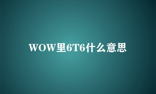 WOW里6T6什么意思