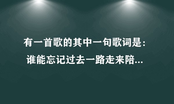 有一首歌的其中一句歌词是： 谁能忘记过去一路走来陪你受的伤 歌名是什么啊？