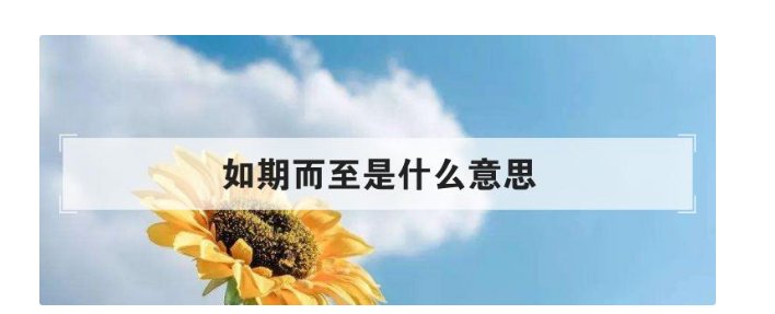 如期而至是什么意思