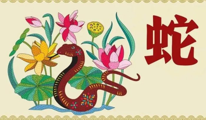 黎民百姓打一准确生肖