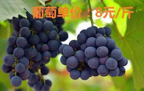 单价怎么计算？