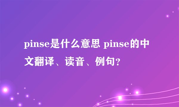 pinse是什么意思 pinse的中文翻译、读音、例句？
