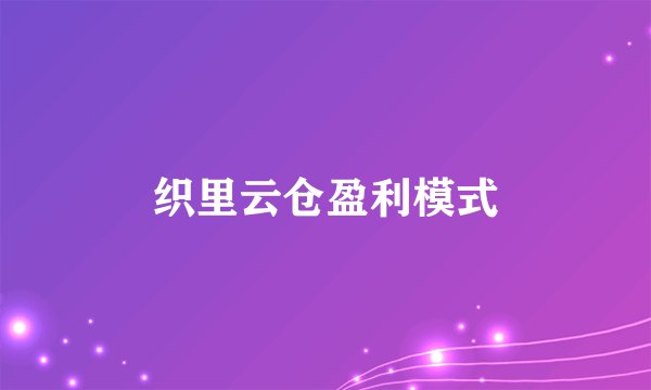 织里云仓盈利模式
