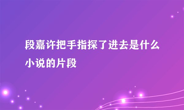 段嘉许把手指探了进去是什么小说的片段
