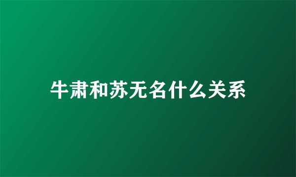 牛肃和苏无名什么关系