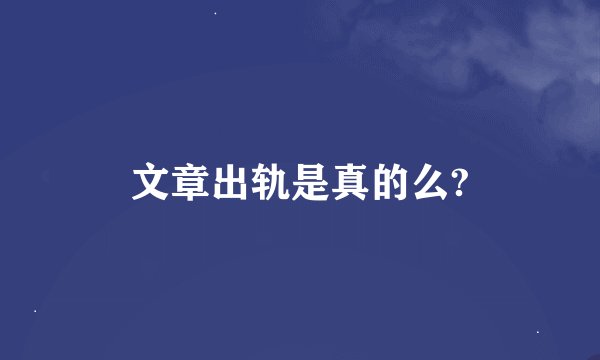 文章出轨是真的么?