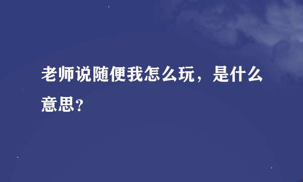 老师说随便我怎么玩，是什么意思？
