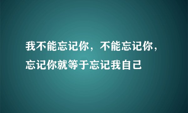 我不能忘记你，不能忘记你，忘记你就等于忘记我自己