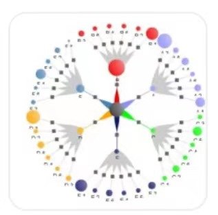 什么是拓扑关系