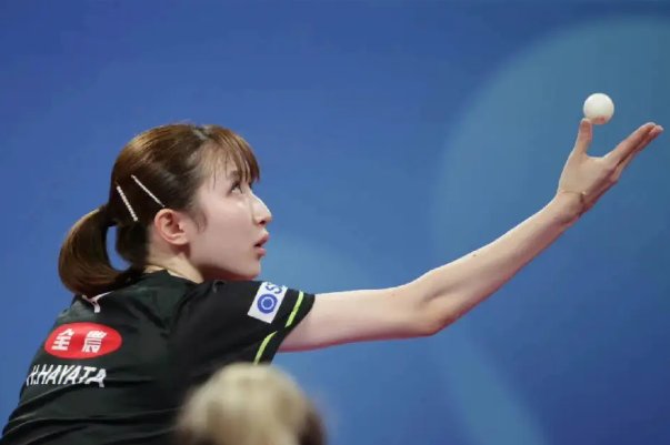 早田希娜简历及个人资料简介