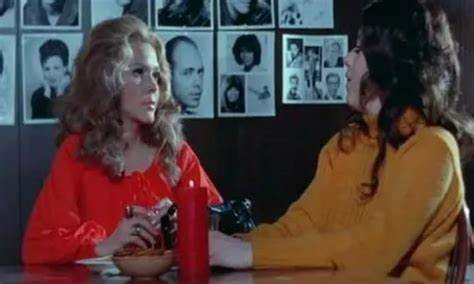 1984年美国家庭忌讳4