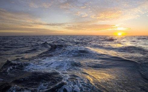 依天照海花无数，流水高山心自知,这首诗完整的什么，这诗是什么意思？