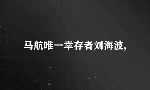 马航唯一幸存者刘海波,