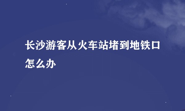 长沙游客从火车站堵到地铁口怎么办