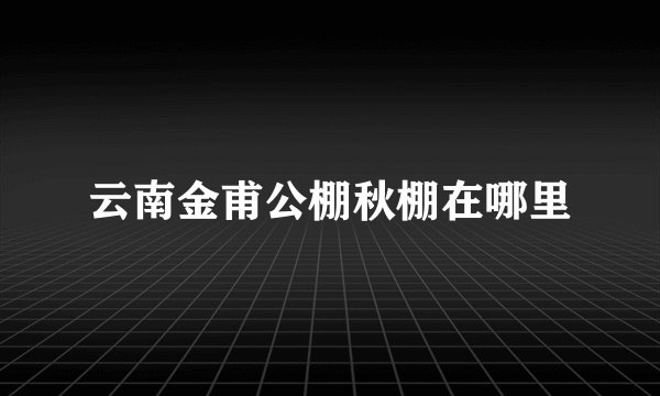 云南金甫公棚秋棚在哪里