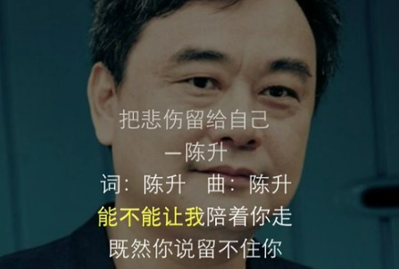 《把悲伤留给自己》原唱是谁？