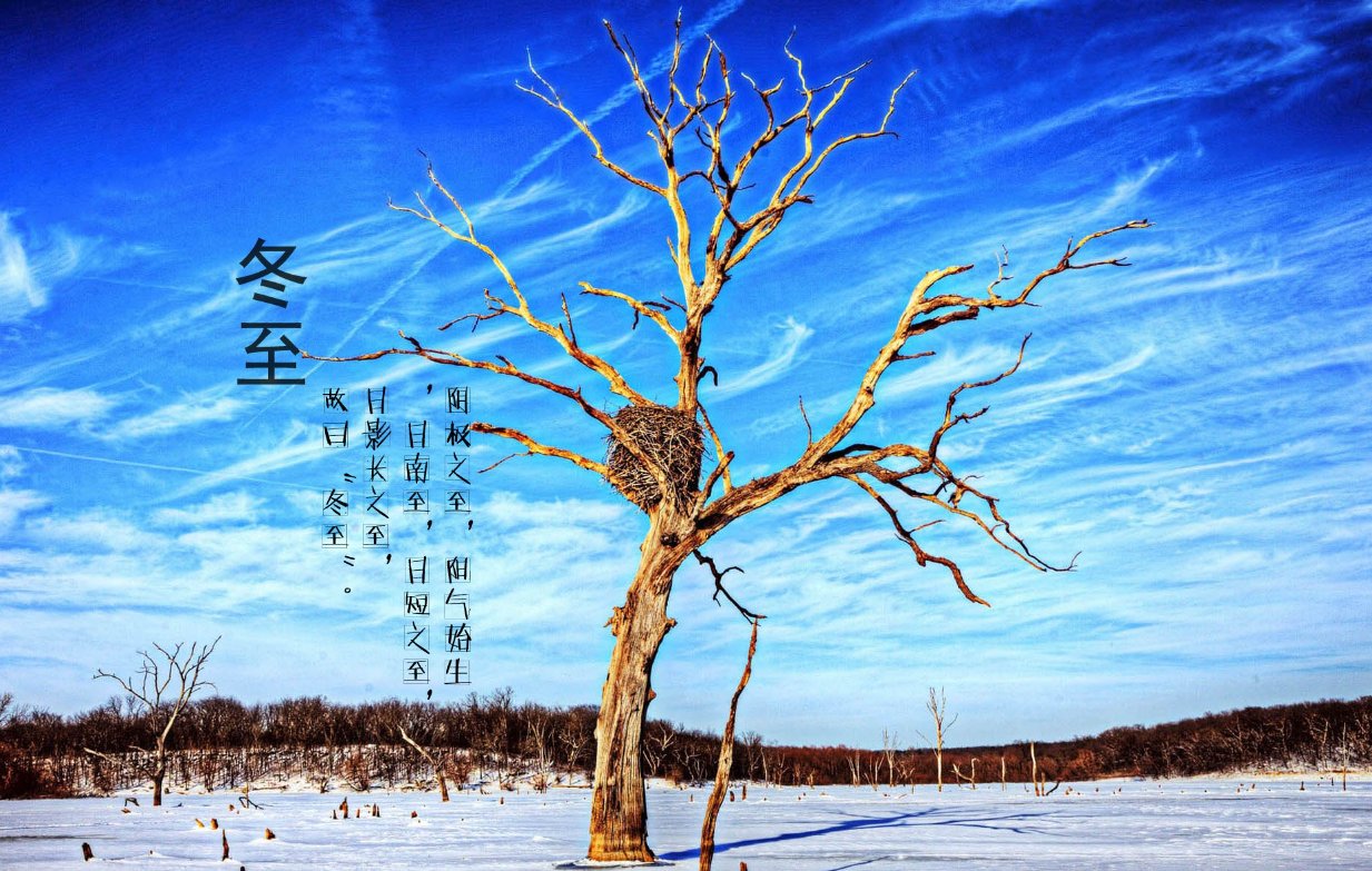 11月初十是什么日子