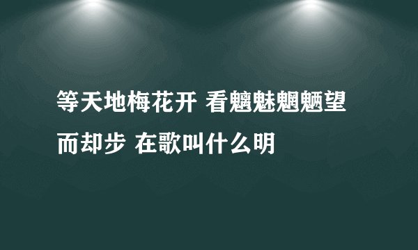 等天地梅花开 看魑魅魍魉望而却步 在歌叫什么明