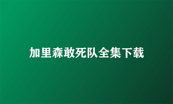 加里森敢死队全集下载