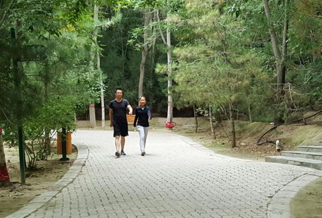 早上躁晚上躁天天躁8090