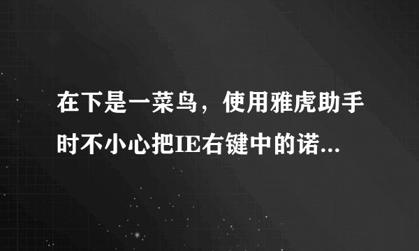 在下是一菜鸟，使用雅虎助手时不小心把IE右键中的诺顿给删了，急问如何恢复？？望高手多指点！谢啦！！！