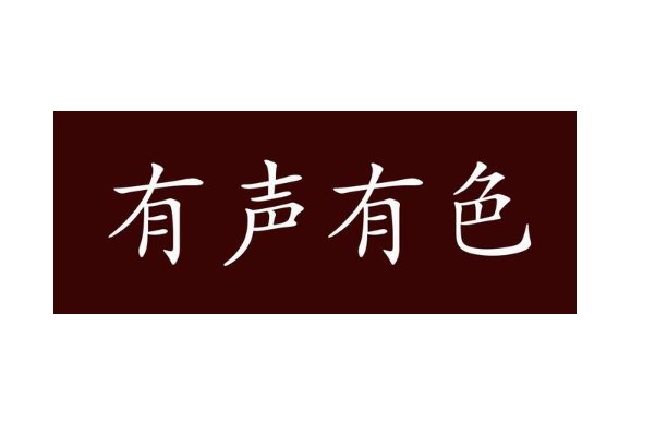 有声有色什么意思解释