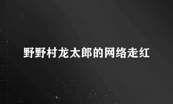 野野村龙太郎的网络走红