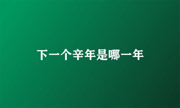 下一个辛年是哪一年