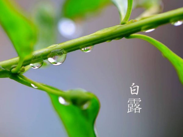 农谚语都有哪些