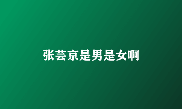 张芸京是男是女啊