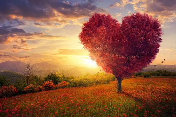 等人的诗句唯美