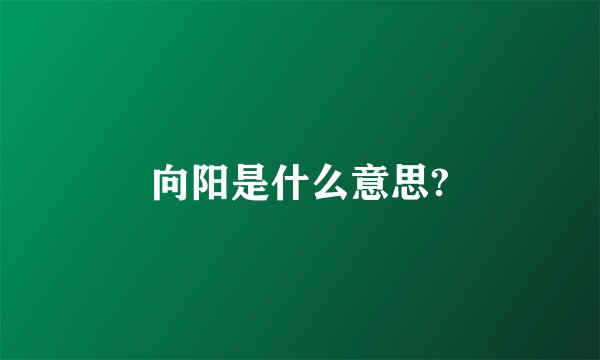 向阳是什么意思?