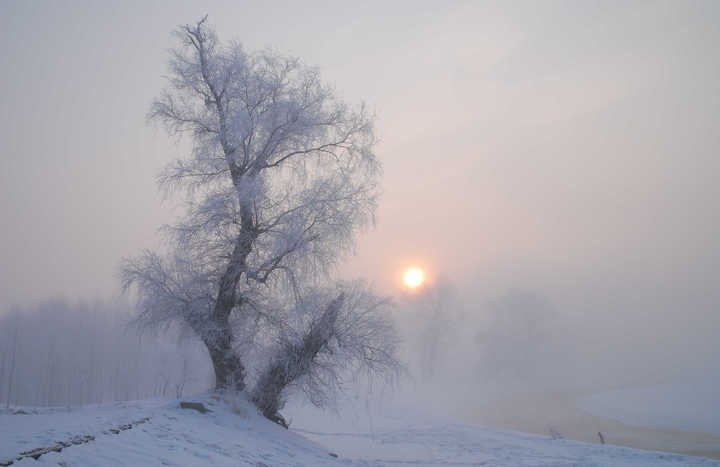 无垠的无垠社区