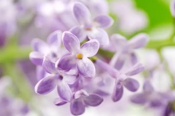 丹丹与父亲之间的情感变化