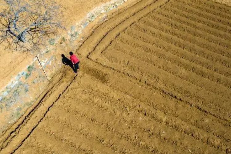 田垄的拼音意思