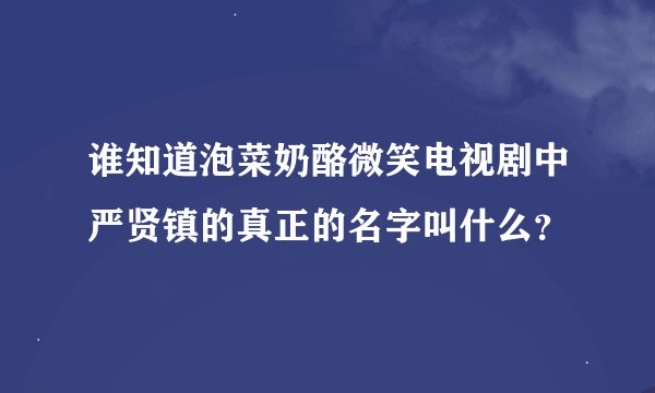 谁知道泡菜奶酪微笑电视剧中严贤镇的真正的名字叫什么？
