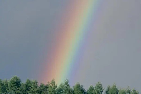 彩虹是怎样形成的答案