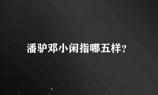 潘驴邓小闲指哪五样？