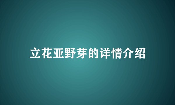 立花亚野芽的详情介绍