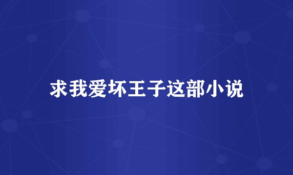 求我爱坏王子这部小说