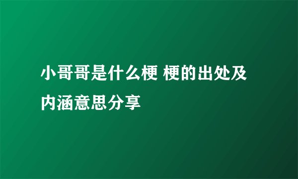 小哥哥是什么梗 梗的出处及内涵意思分享