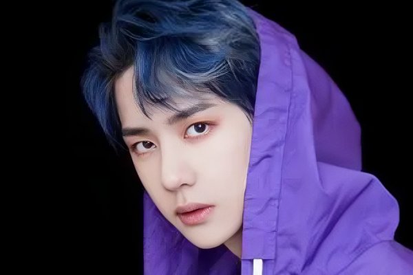 乐华旗下艺人全部名单